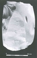 image from vol 67