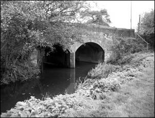 bridge