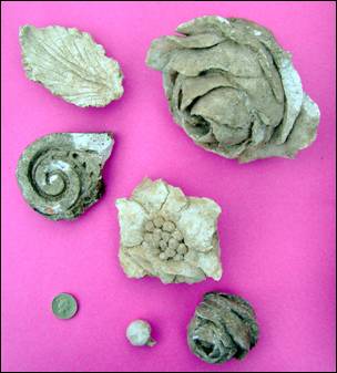 finds