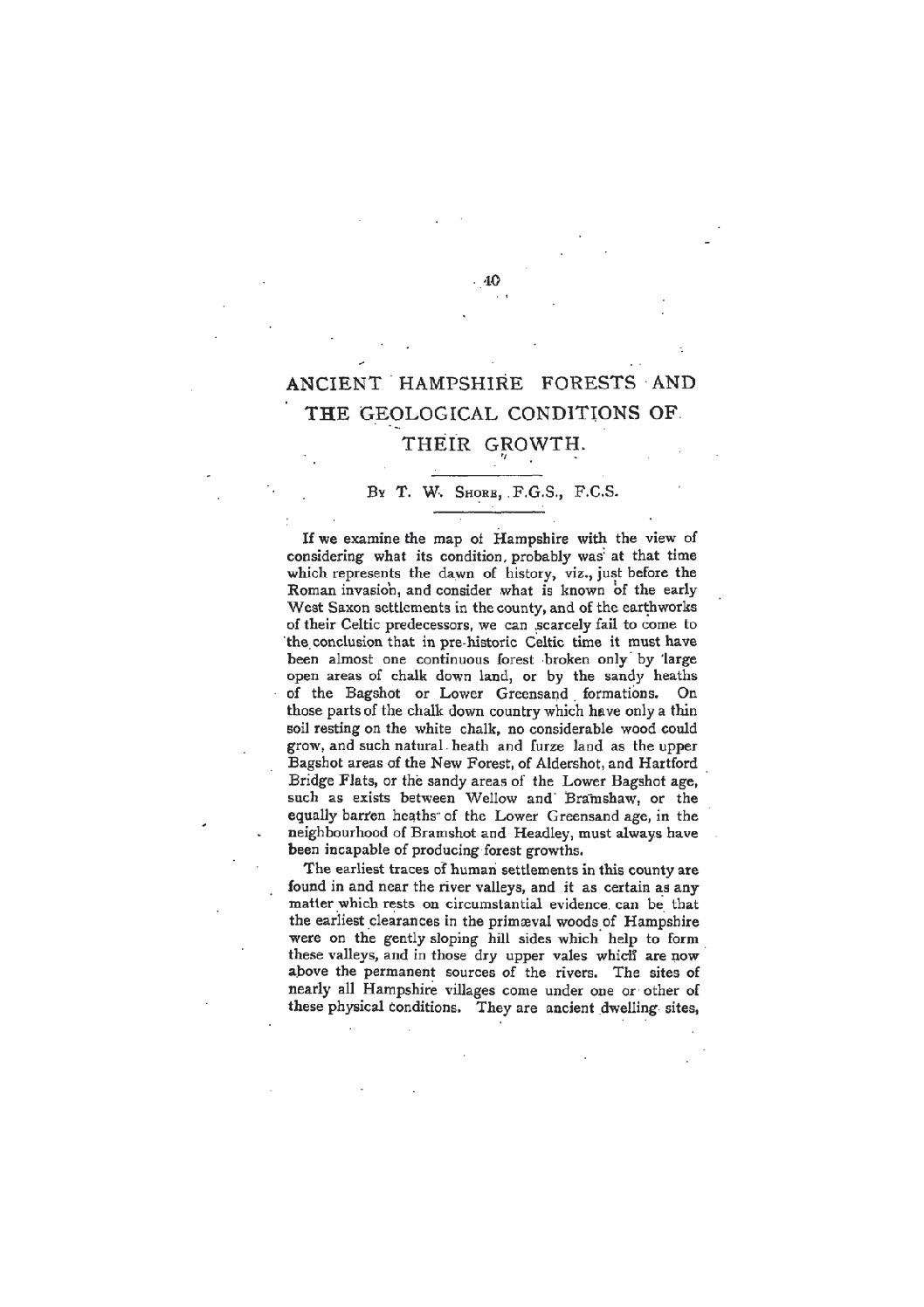 ANCIENT HAMPSHIRE FORESTS